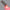 Handheld Red Light Therapy Torch 3 Color LED Photon Flashlight 630nm 660nm 850nm