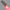 630nm 660nm 850nm Handheld Torch red light therapy 3 color led photon light therapy flashlight